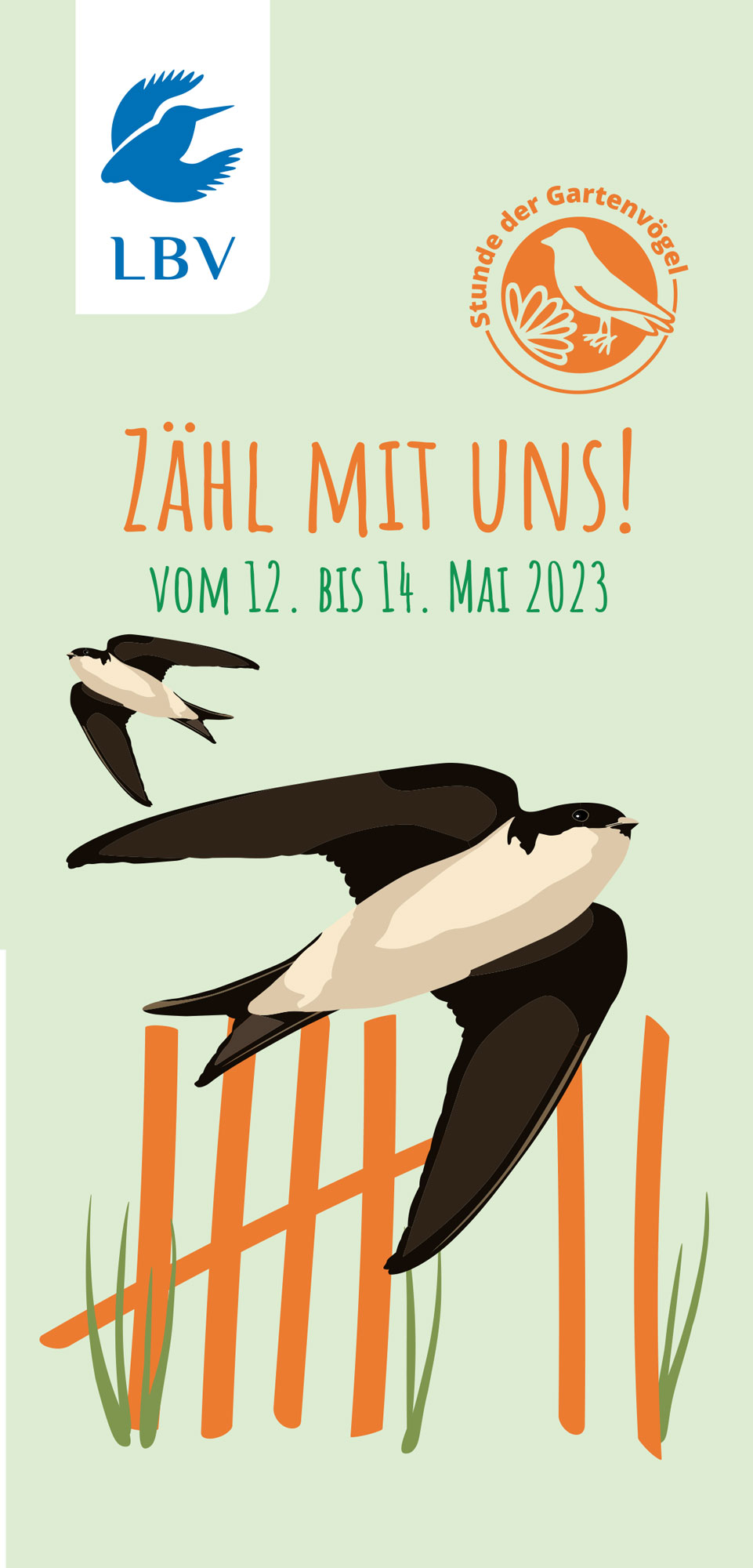 Zählen Sie mit bei der Stunde der Gartenvögel! LBV Gemeinsam